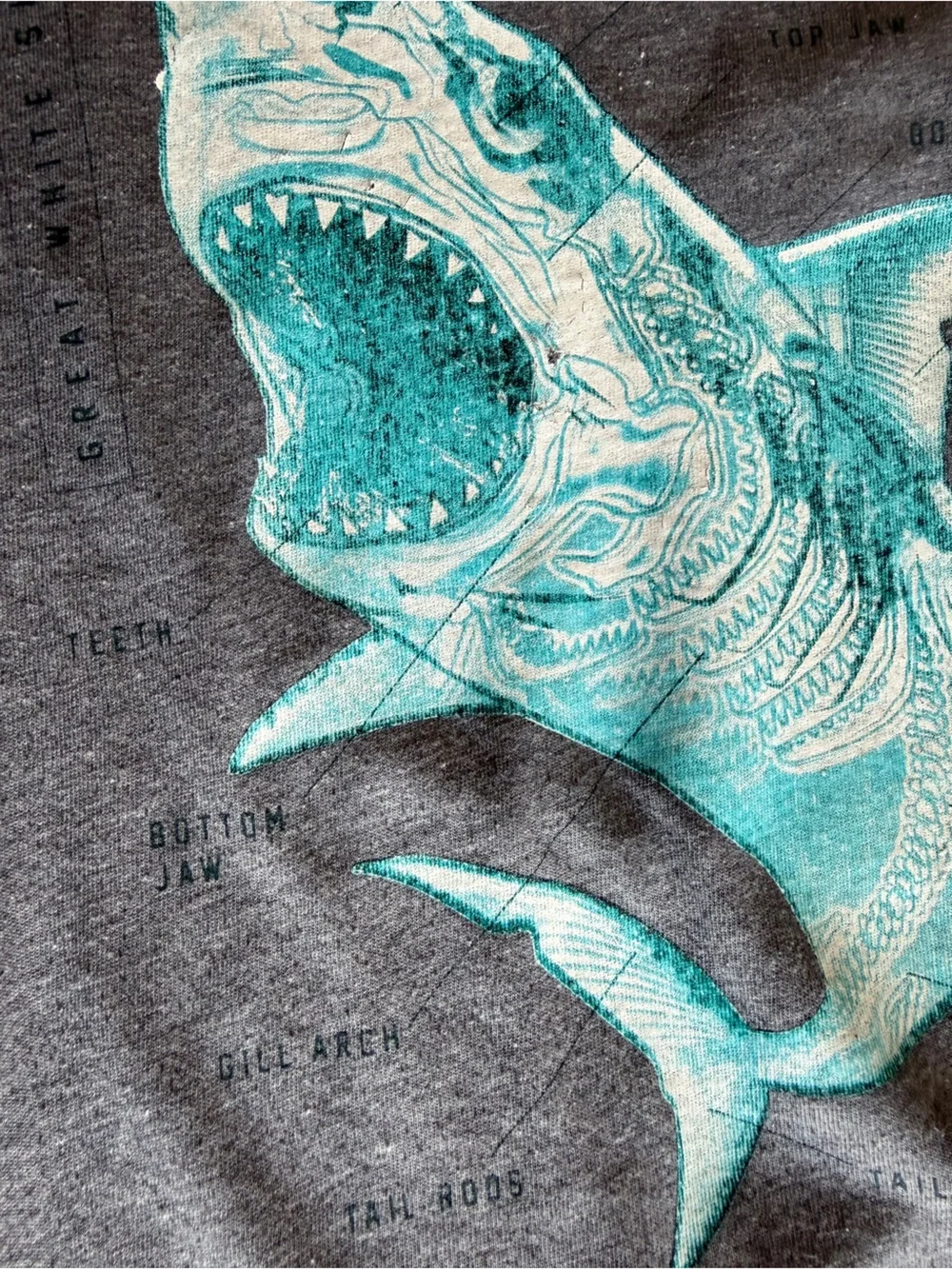 🟢3/$15 🦈 Old Navy Boys Gray Great White Shark Anatomy Graphic Tee